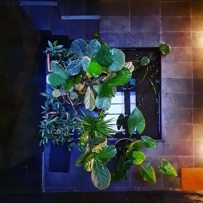 Exclusivo Apartamento De Diseno Centro Sevilla Matahacas Bajo 0*, Seville Spain